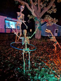 Halloween 2024-26