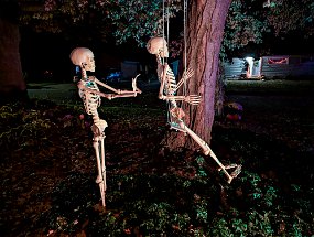 Halloween 2024-28