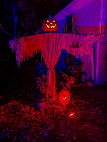 Halloween 2024-31
