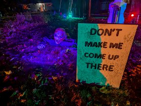 Halloween 2024-32