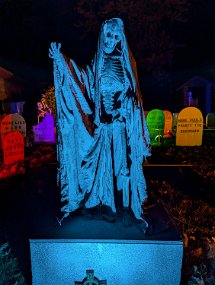 Halloween 2024-41