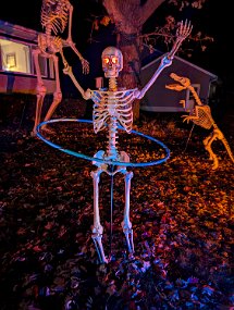 Halloween 2024-45