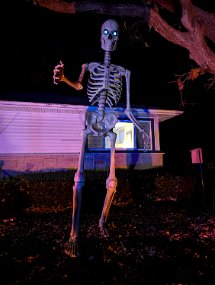 Halloween 2024-47