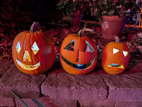 Halloween 2024-48