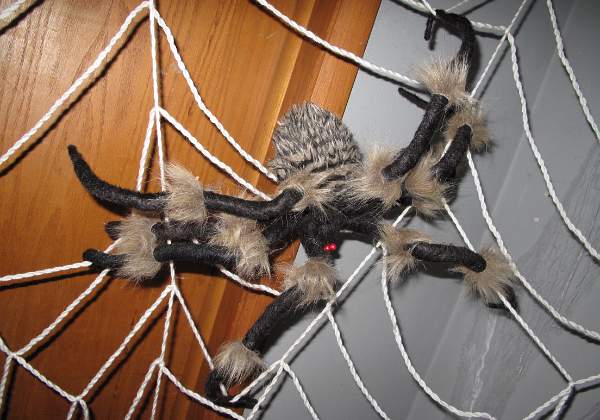Halloween 2011