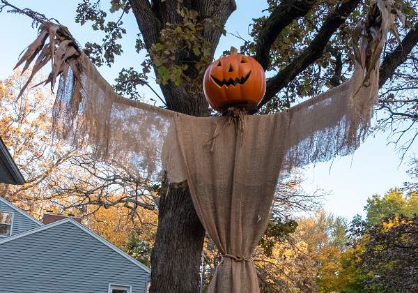 Halloween 2019