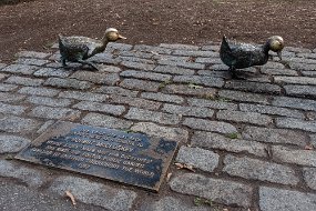 Boston 2019-168