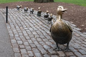 Boston 2019-181