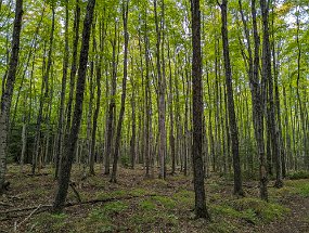 Door County 2023-116