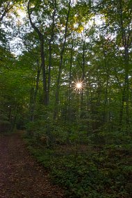 Door County 2023-174
