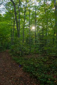 Door County 2023-175