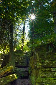 Door County 2023-186