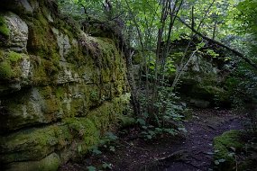 Door County 2023-52