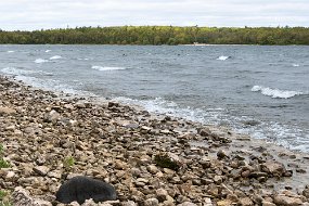 Door County 2023-85