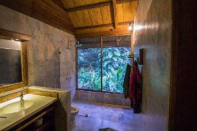 Rain Forest-1124