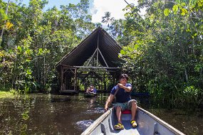 Rain Forest-15