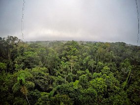 Rain Forest-1751-Edit-Edit DCIM\100GOPRO\GOPR0243.