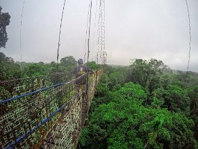 Rain Forest-1752-Edit DCIM\100GOPRO\GOPR0244.