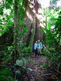 Rain Forest-1753-Edit