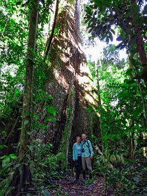 Rain Forest-1754-Edit