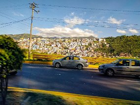 Rain Forest-1776-Edit