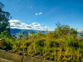 Rain Forest-1783-Edit