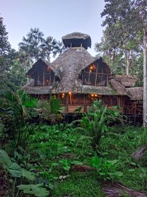 Rain Forest-1796-Edit