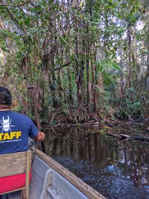 Rain Forest-1821-Edit