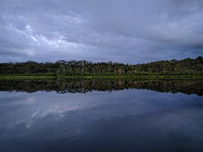 Rain Forest-1865-Edit