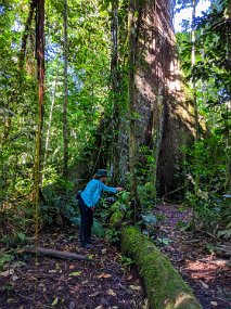 Rain Forest-1867-Edit