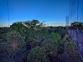 Rain Forest-1884-Edit