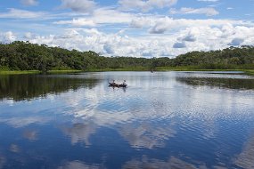 Rain Forest-34