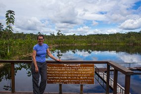 Rain Forest-35
