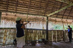 Rain Forest-407