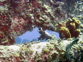Jamaica_051_edited-1