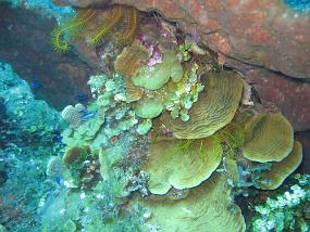 Jamaica_060