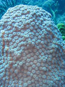 Jamaica_141