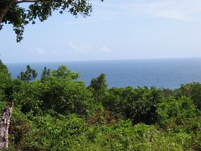 Jamaica_176