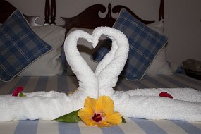 IMG_4695