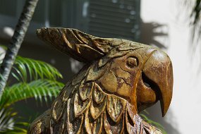 IMG_4721