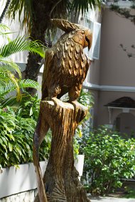 IMG_4722