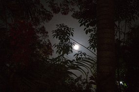 IMG_4724