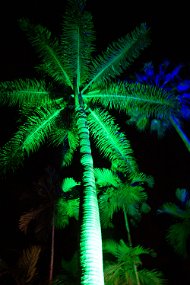 IMG_4757