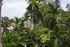 IMG_4782