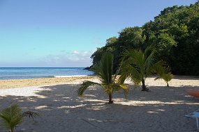 IMG_4933