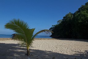 IMG_4942