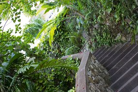 IMG_4943