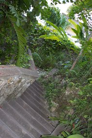 IMG_4944