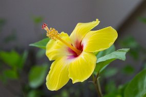 IMG_4967