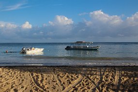 Jamaica 2015-25